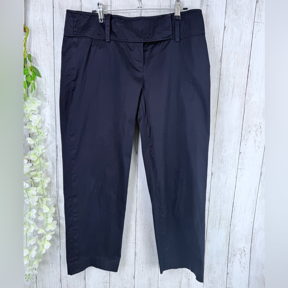 Ann Taylor Cropped Blue Khaki Pants Womens Sz 4 Lindsey Flat Front Causal Work